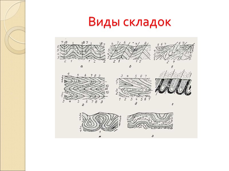Виды складок
